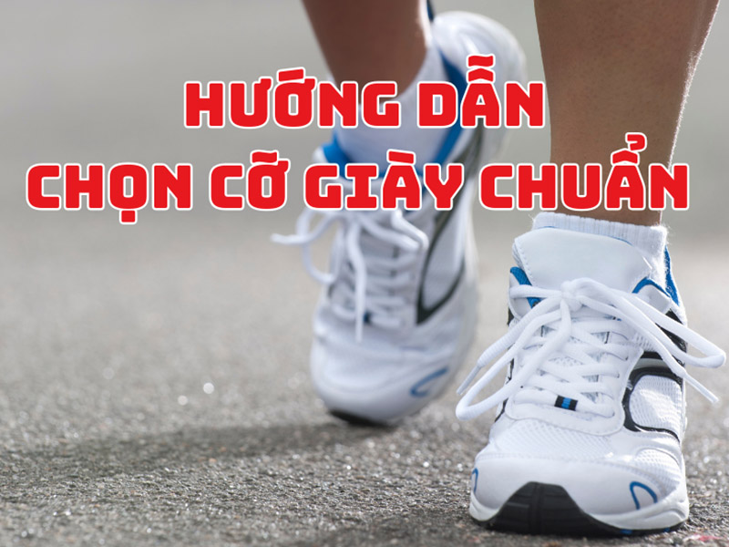 huong-dan-chon-co-giay